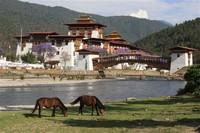 DzongPunakha